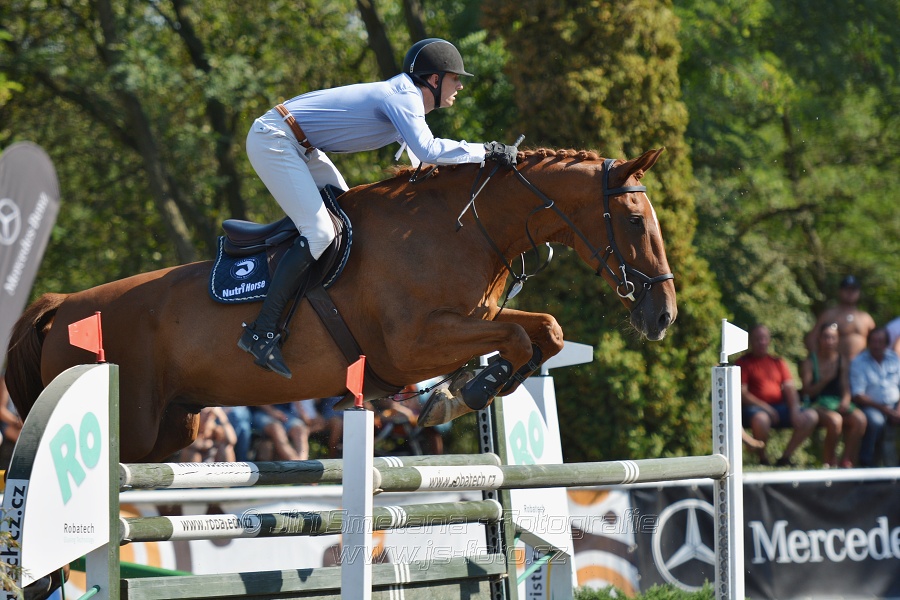 Velká cena města Plzně 2015 - ČSP 2015