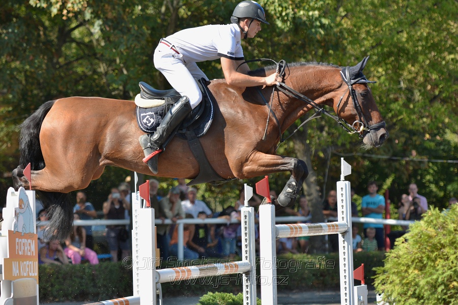 Velká cena města Plzně 2015 - ČSP 2015