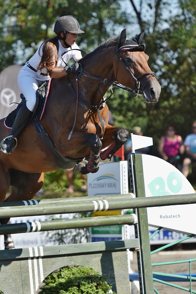 Velká cena města Plzně 2015 - ČSP 2015