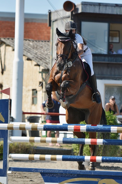Velká cena města Plzně 2015 - ČSP 2015