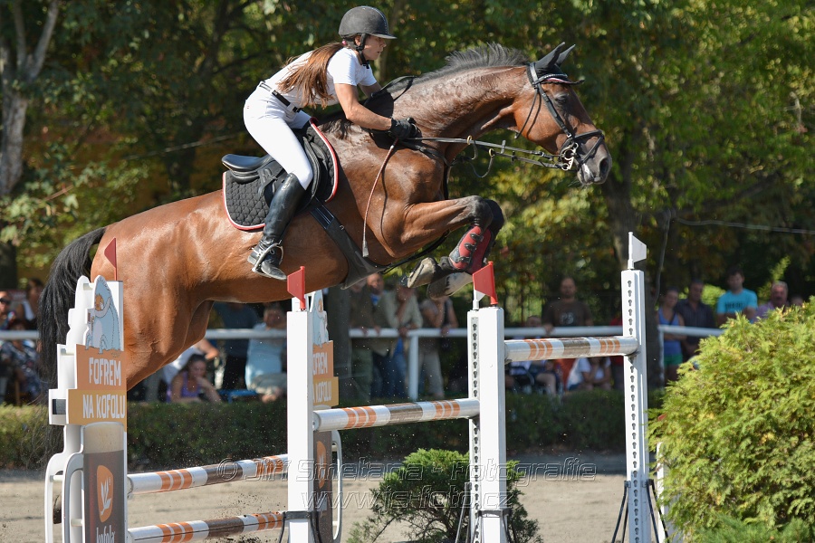 Velká cena města Plzně 2015 - ČSP 2015