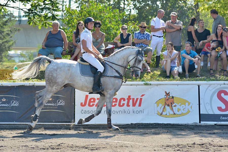 Velká cena města Plzně 2015 - ČSP 2015