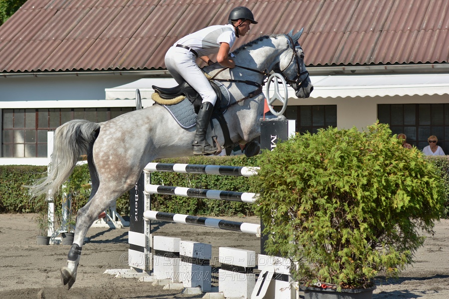 Velká cena města Plzně 2015 - ČSP 2015