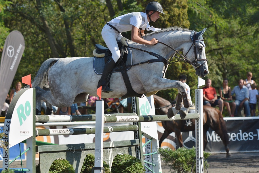 Velká cena města Plzně 2015 - ČSP 2015
