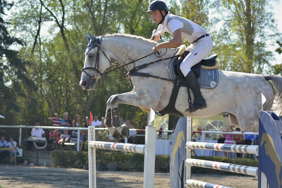 Velká cena města Plzně 2015 - ČSP 2015