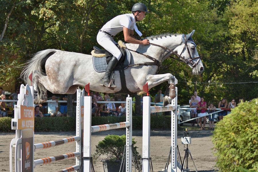Velká cena města Plzně 2015 - ČSP 2015