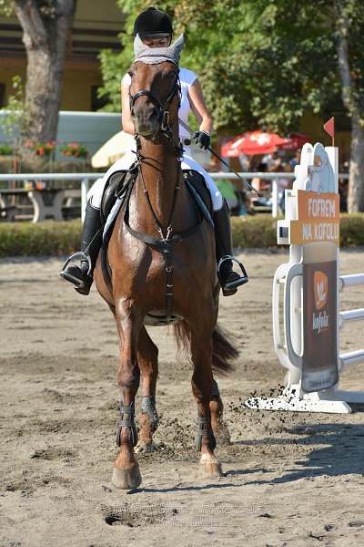 Velká cena města Plzně 2015 - ČSP 2015