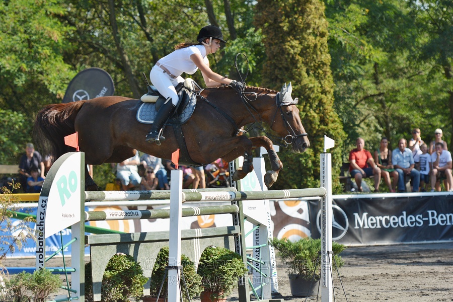 Velká cena města Plzně 2015 - ČSP 2015