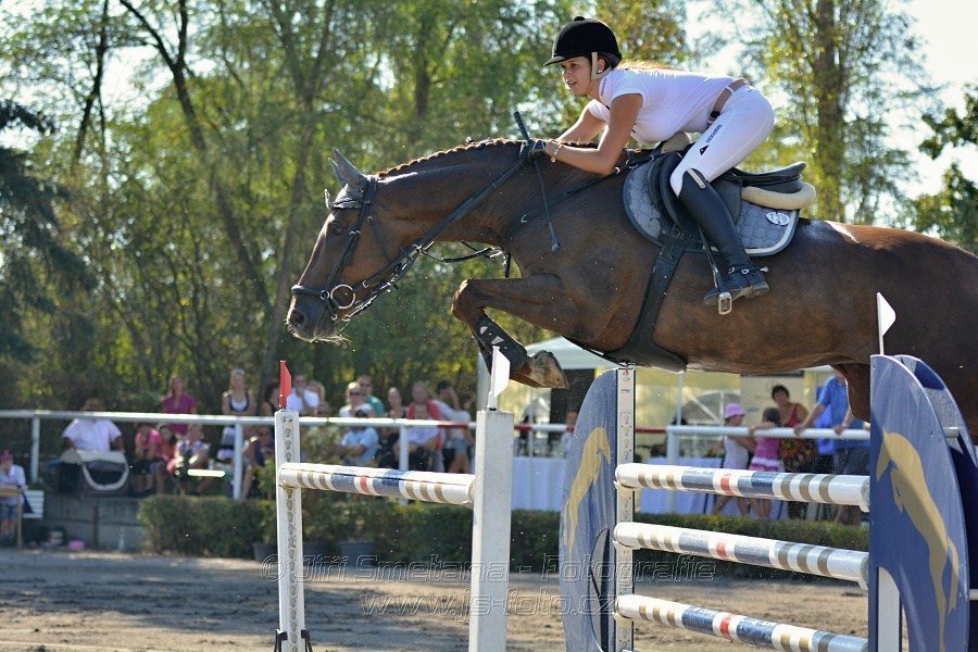 Velká cena města Plzně 2015 - ČSP 2015