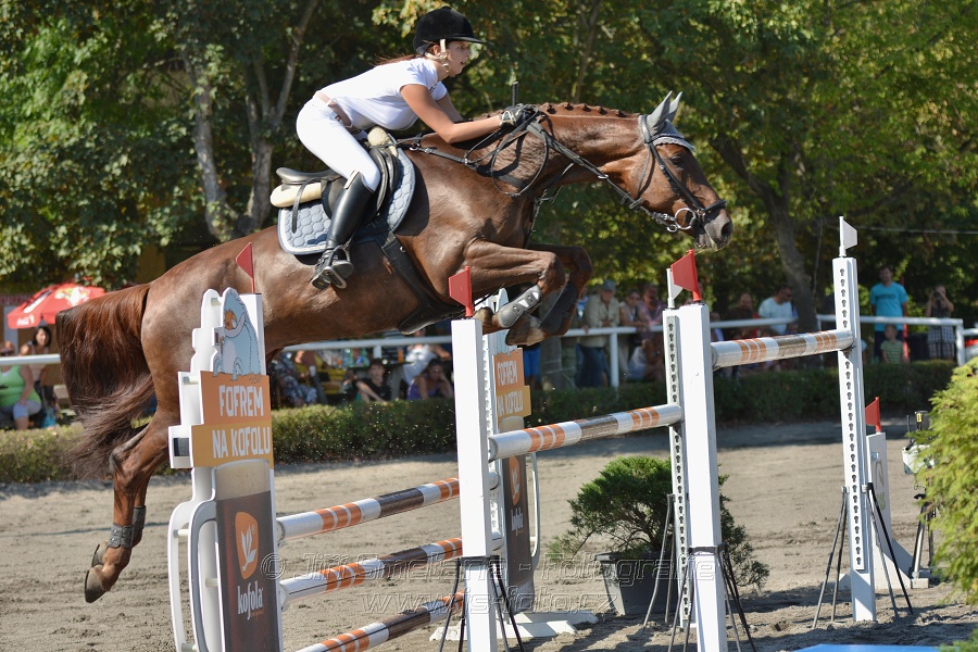 Velká cena města Plzně 2015 - ČSP 2015