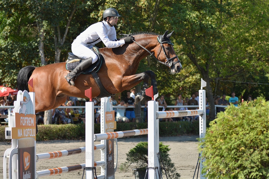 Velká cena města Plzně 2015 - ČSP 2015