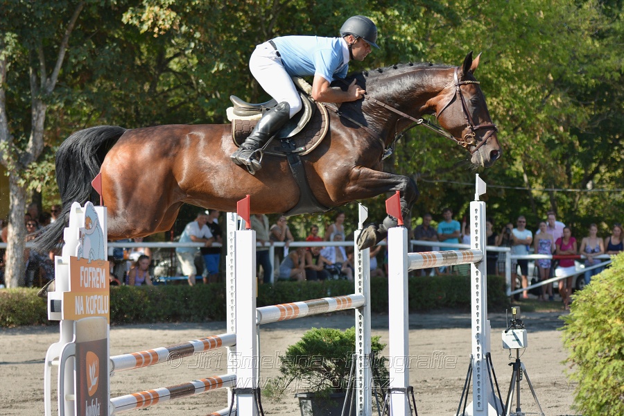 Velká cena města Plzně 2015 - ČSP 2015