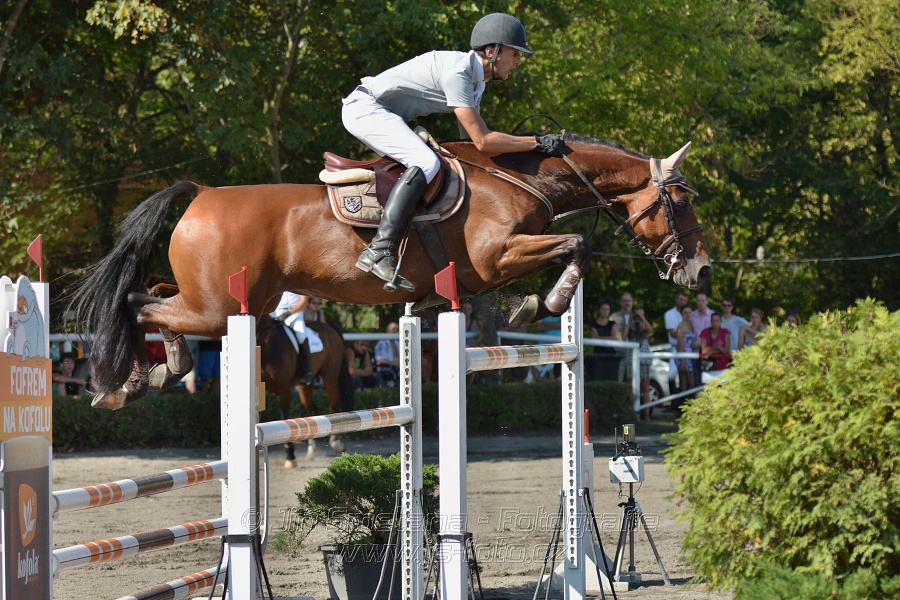Velká cena města Plzně 2015 - ČSP 2015