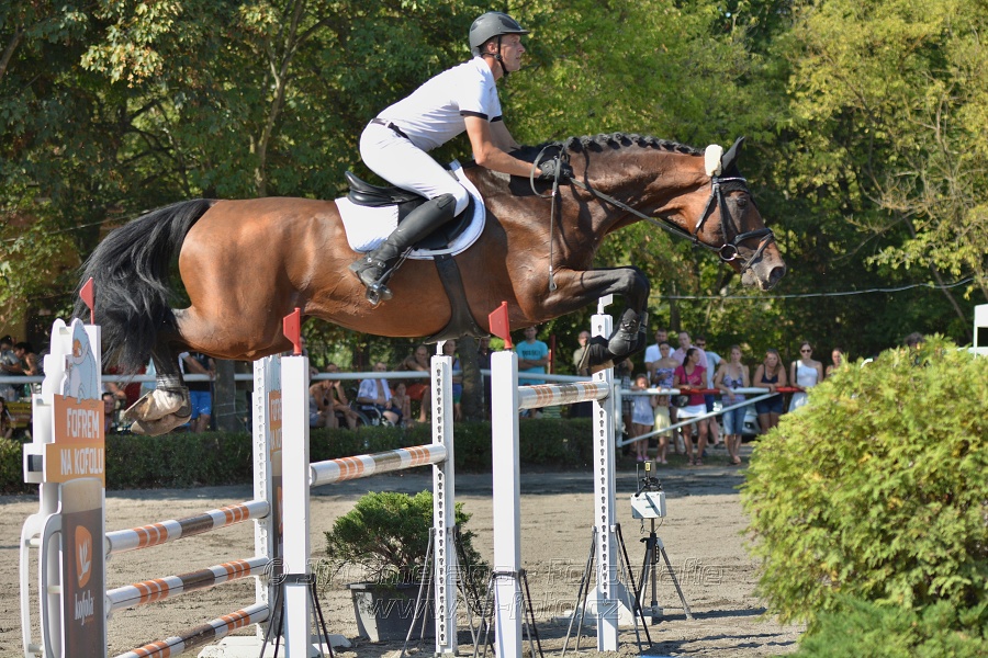 Velká cena města Plzně 2015 - ČSP 2015