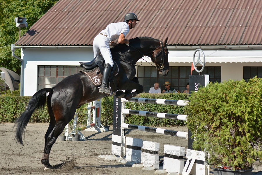 Velká cena města Plzně 2015 - ČSP 2015
