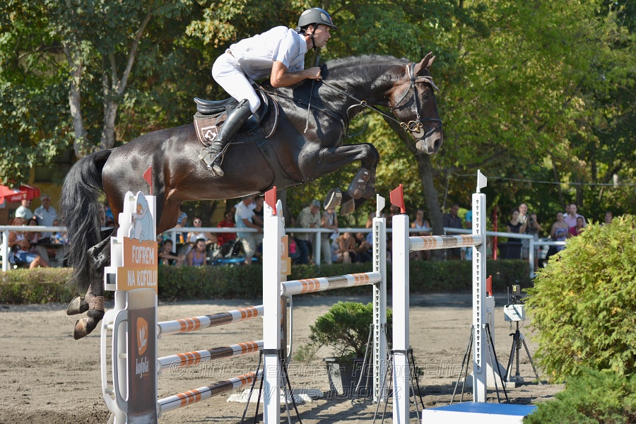 Velká cena města Plzně 2015 - ČSP 2015
