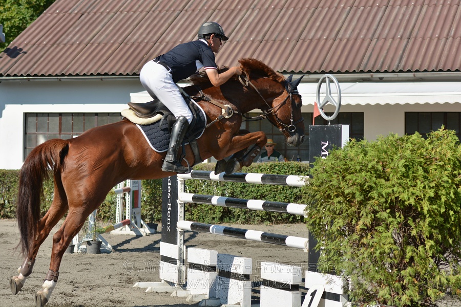 Velká cena města Plzně 2015 - ČSP 2015
