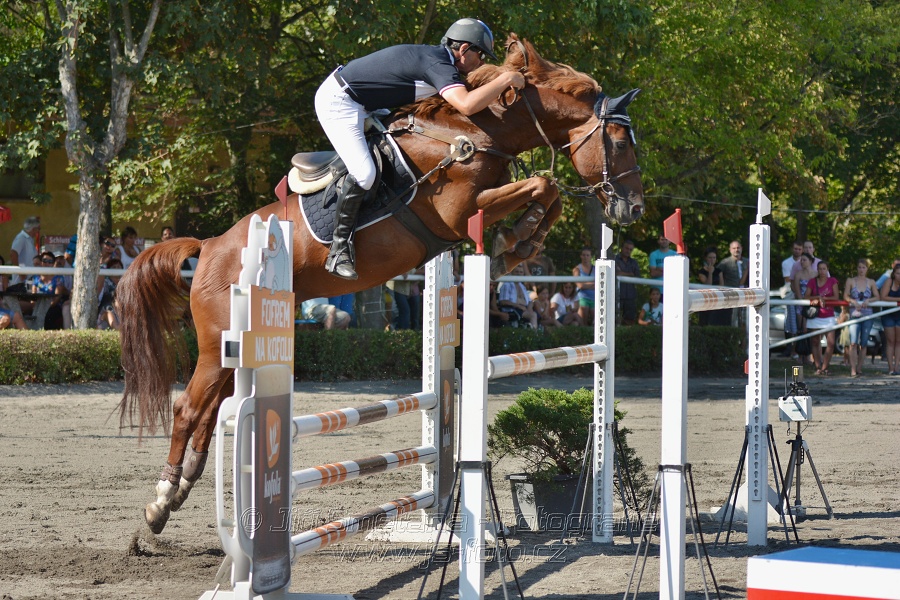 Velká cena města Plzně 2015 - ČSP 2015
