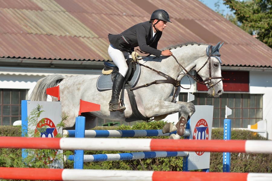 Velká cena města Plzně 2015 - ČSP 2015