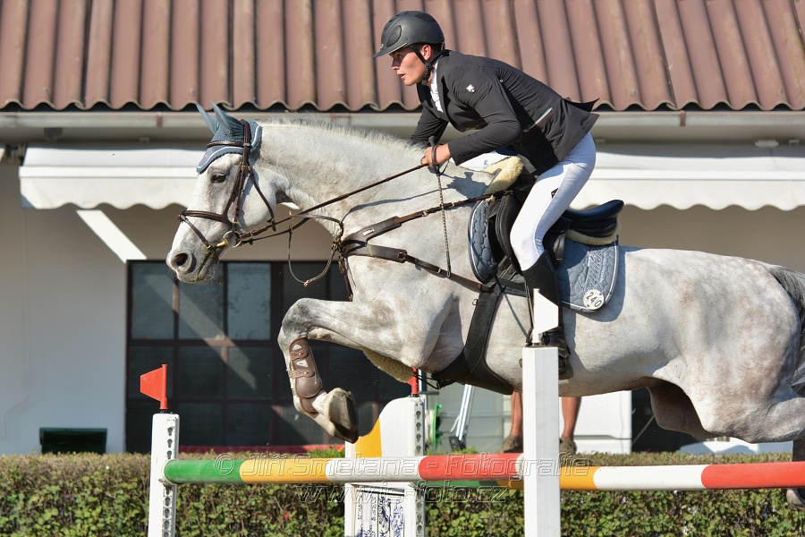 Velká cena města Plzně 2015 - ČSP 2015