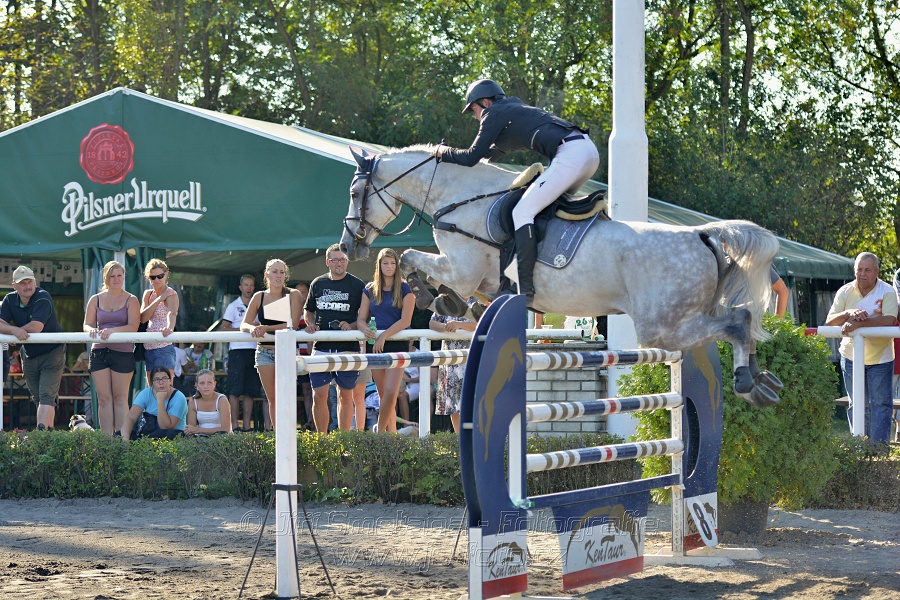 Velká cena města Plzně 2015 - ČSP 2015