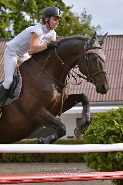 Skoková soutěž „Z“ na limitovaný čas