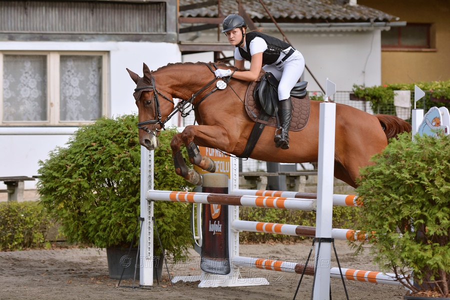 Skoková soutěž „Z“ na limitovaný čas