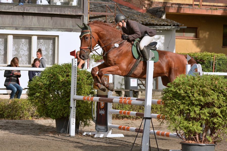 Skoková soutěž „Z“ na limitovaný čas