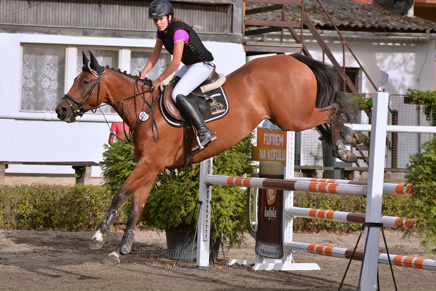 Skoková soutěž „Z“ na limitovaný čas