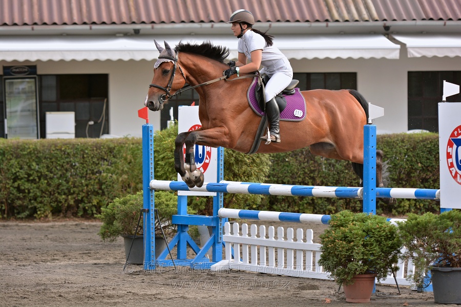 Skoková soutěž „Z“ na limitovaný čas