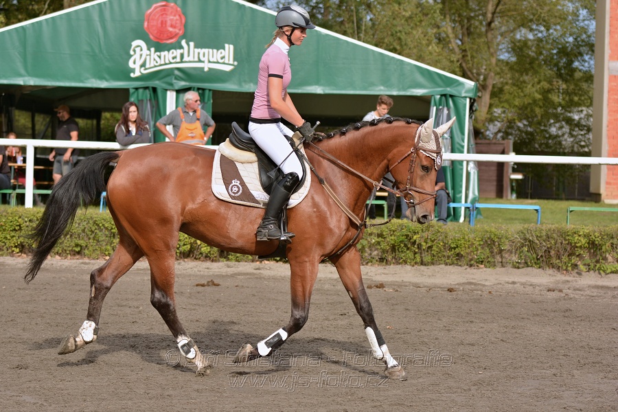 Skoková soutěž „Z“ na limitovaný čas