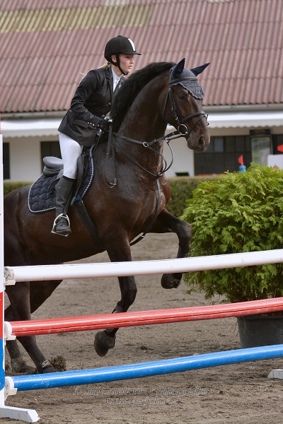 Skoková soutěž „Z“ na limitovaný čas