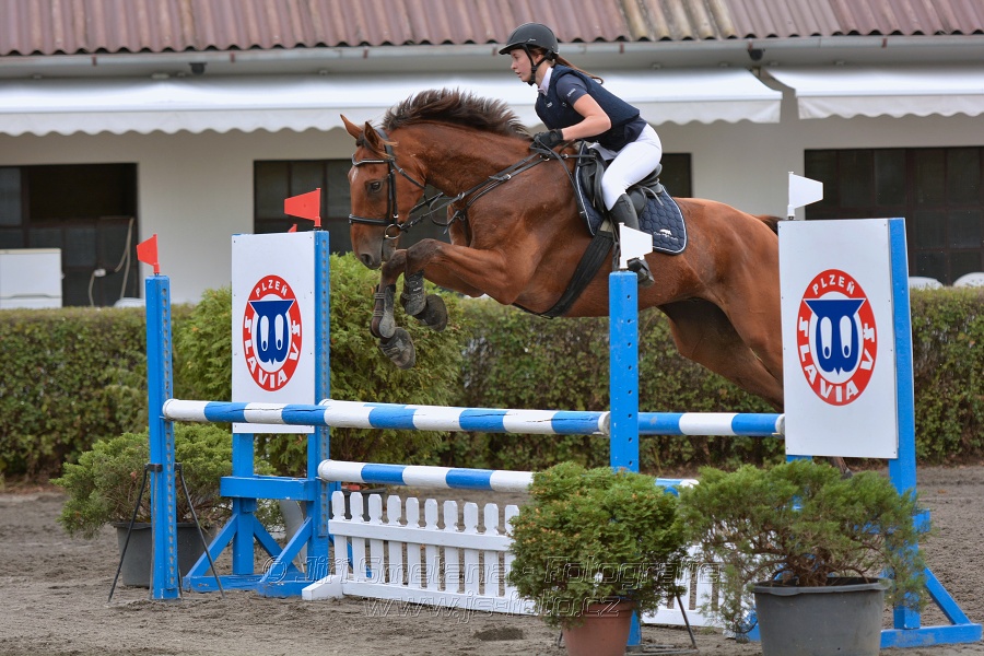 Skoková soutěž „Z“ na limitovaný čas