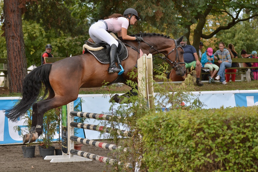 Skoková soutěž „Z“ na limitovaný čas