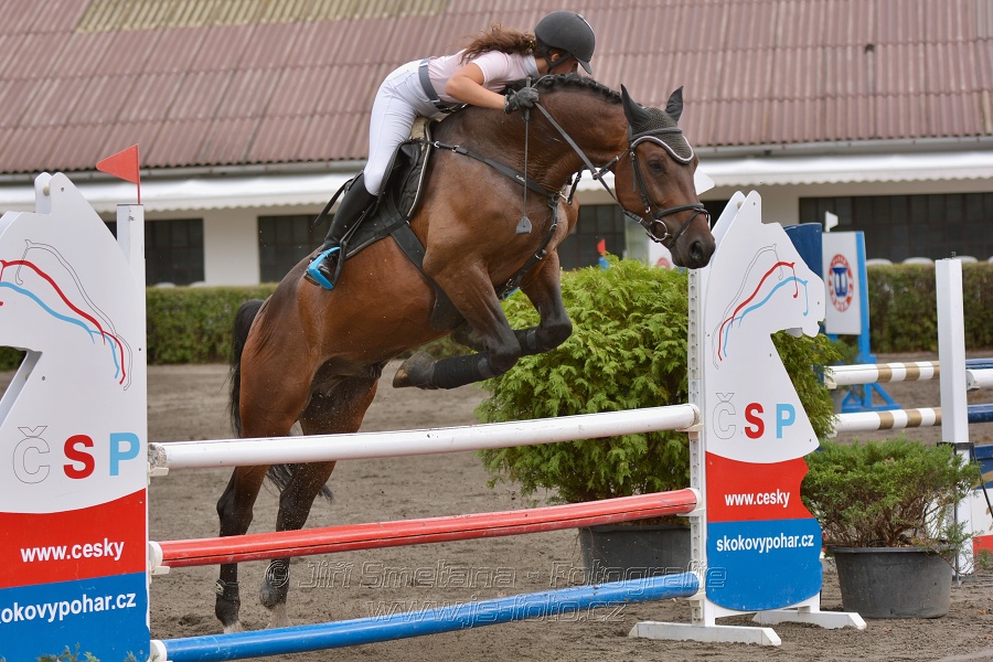 Skoková soutěž „Z“ na limitovaný čas