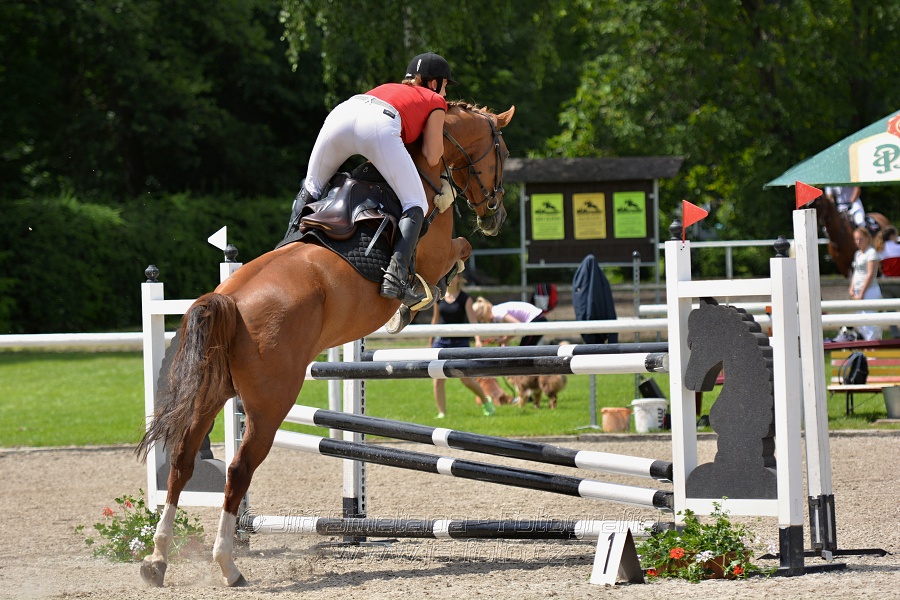 Skoková soutěž stupně „L*“, otevřená soutěž