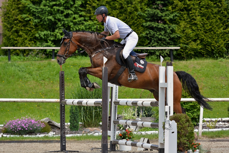 Skoková soutěž stupně „L*“, otevřená soutěž