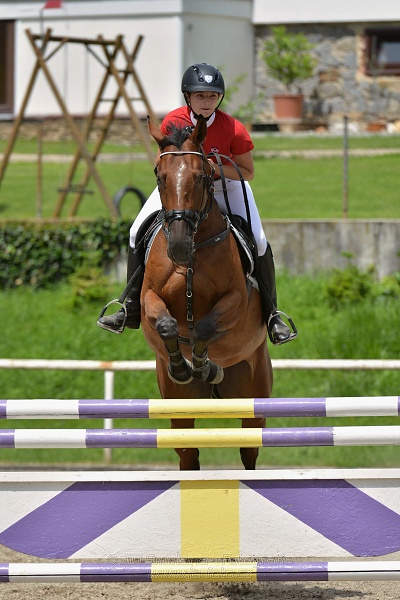 Skoková soutěž stupně „L*“, otevřená soutěž