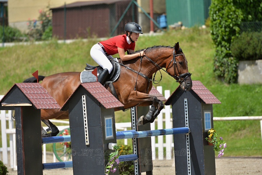 Skoková soutěž stupně „L*“, otevřená soutěž