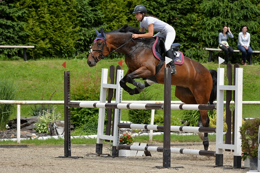 Skoková soutěž stupně „L*“, otevřená soutěž