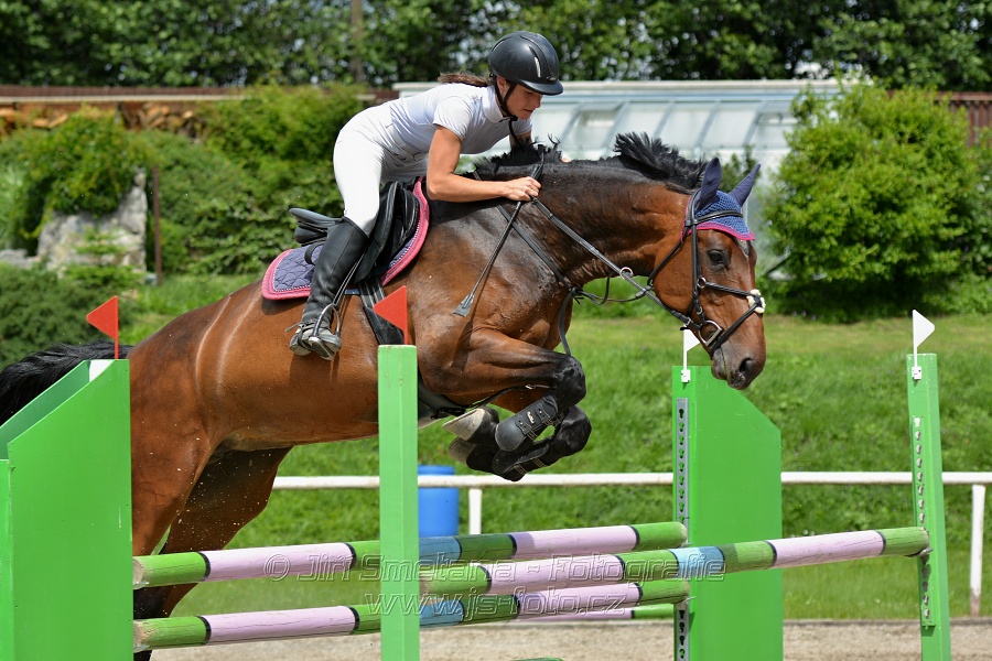 Skoková soutěž stupně „L*“, otevřená soutěž