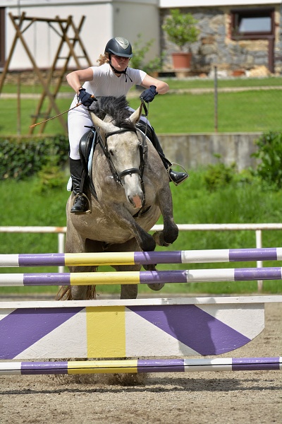 Skoková soutěž stupně „L*“, otevřená soutěž