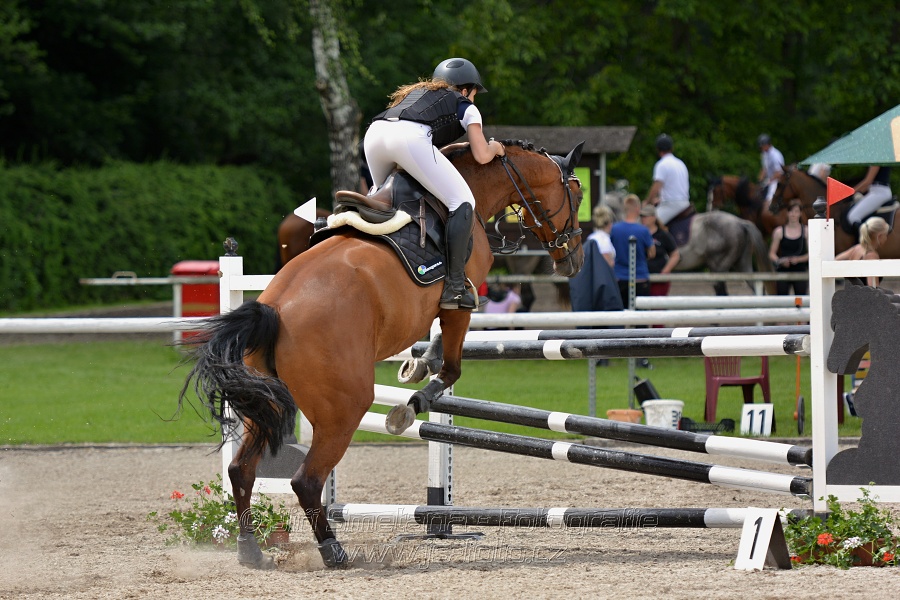 Skoková soutěž stupně „L*“, otevřená soutěž