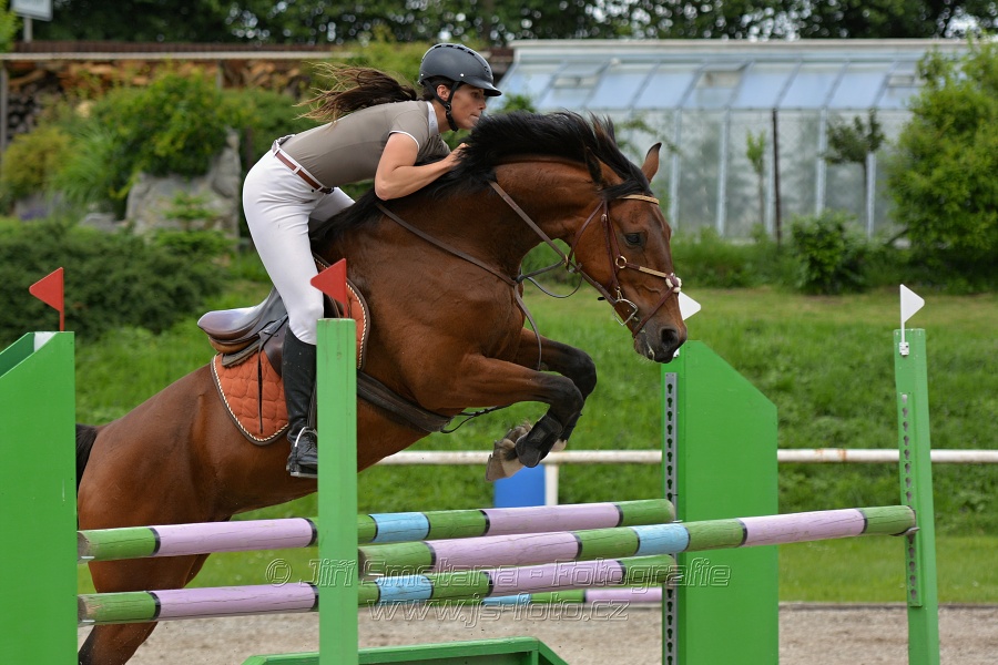 Skoková soutěž stupně „L*“, otevřená soutěž