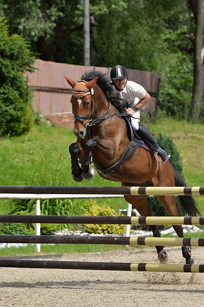Skoková soutěž stupně „L*“, otevřená soutěž