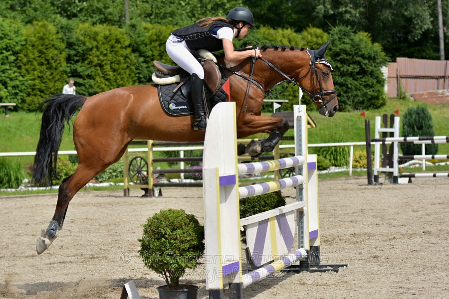 Skoková soutěž stupně „L*“, otevřená soutěž