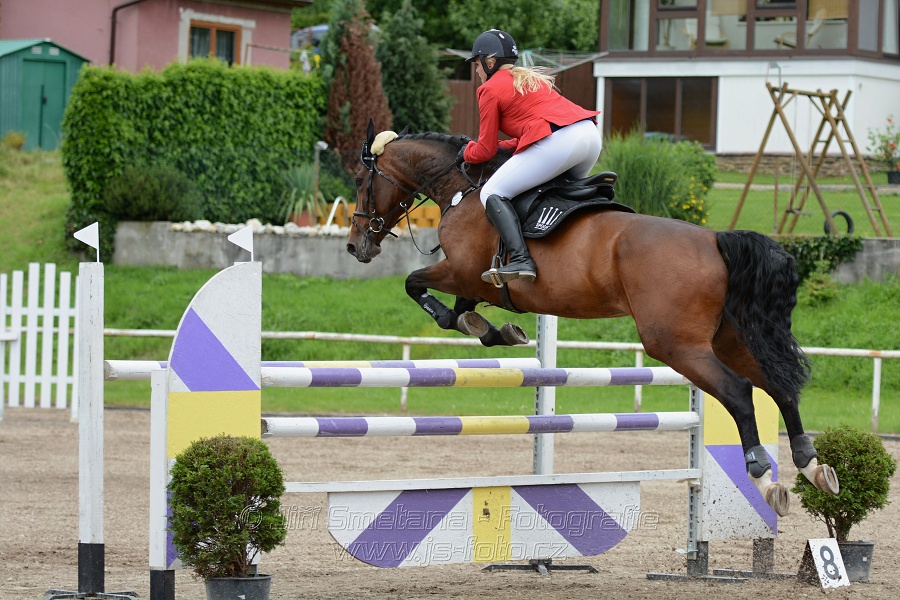 Skoková soutěž stupně “L**”, otevřená soutěž