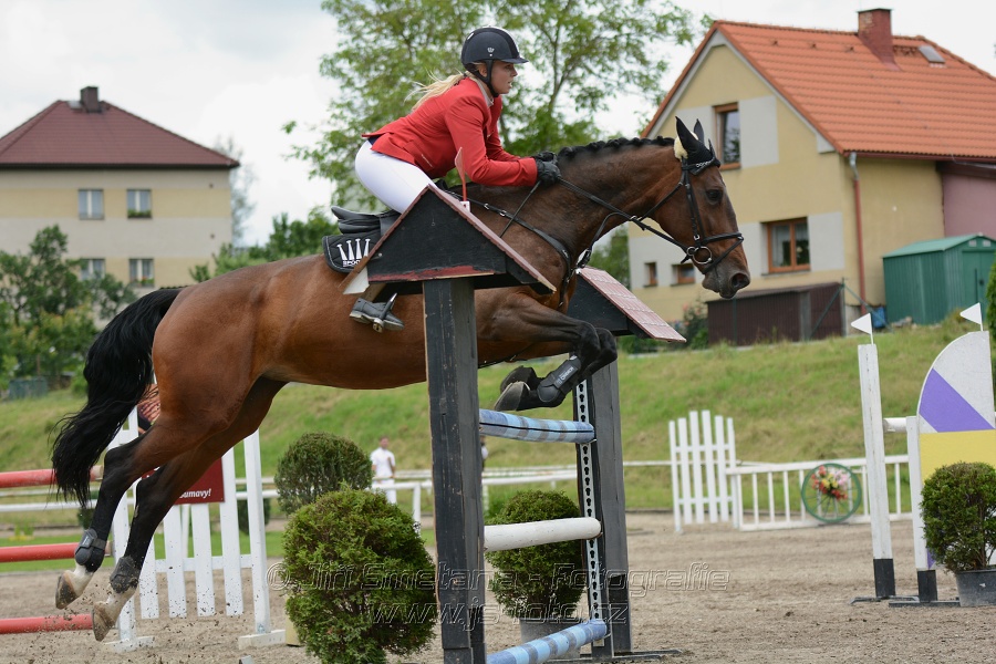 Skoková soutěž stupně “L**”, otevřená soutěž