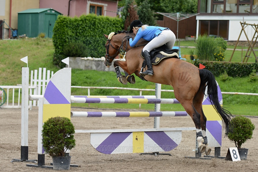 Skoková soutěž stupně “L**”, otevřená soutěž