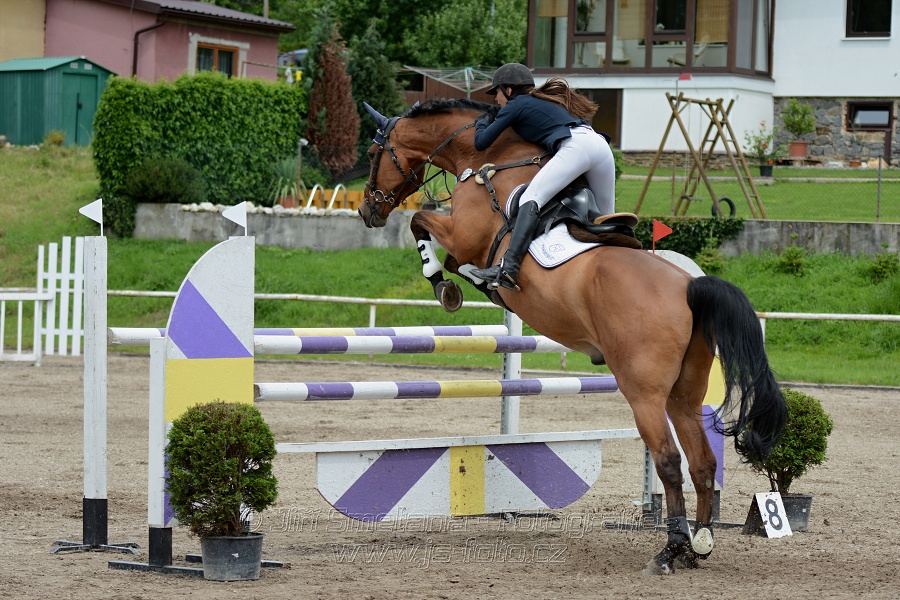 Skoková soutěž stupně “L**”, otevřená soutěž